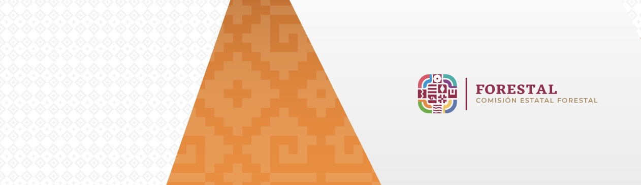 REFORESTA OAXACA 2025